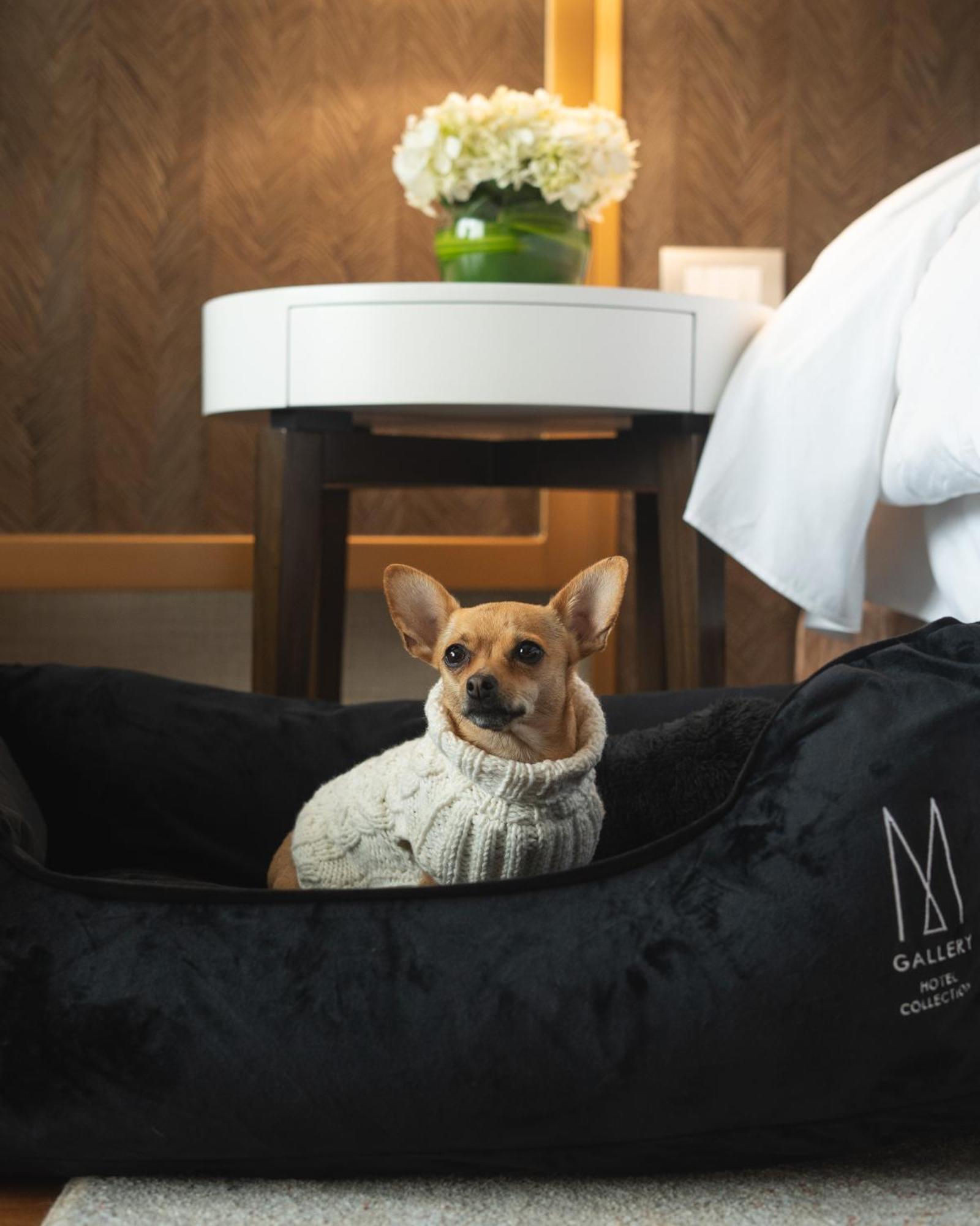 Manto Hotel Lima - Mgallery Экстерьер фото